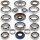 Kit di riparazione del differenziale completo per Polaris ACE 325 570 RZR 900