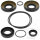 Differential bearing seal kit rear for Kawasaki KVF 650 750 Brute Force