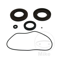Differential bearing seal kit front for Arctic Cat 550...