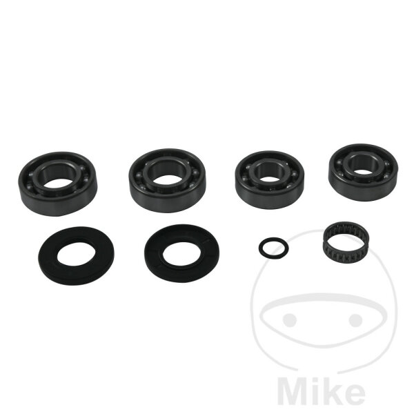 Kit de réparation de différentiel complet pour Polaris Trail Blazer Boss 330