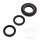 Set guarnizione cuscinetto differenziale posteriore per Honda TRX 420 500  10-13