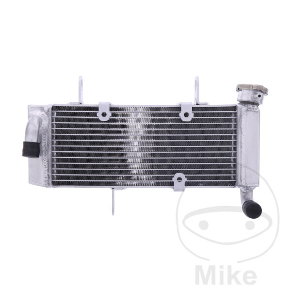 Refrigeratore dacqua JMP per Kawasaki Ninja 125 2019-2022 # Z 125 2018-2022