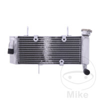 Refroidisseur deau JMP pour Kawasaki Ninja 125 2019-2022...