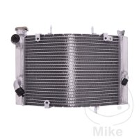 Refrigeratore dacqua per Triumph Street Triple 675 #...