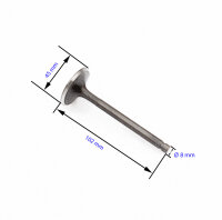 Válvula de admisión para Yamaha XT 500