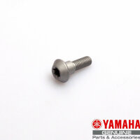 Original screw for front brake disc for Yamaha FZ1 MT XT...