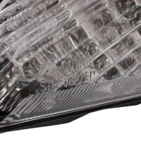 Complete Rear Taillight for Yamaha YZF-R1 1000 4C8-84710-10