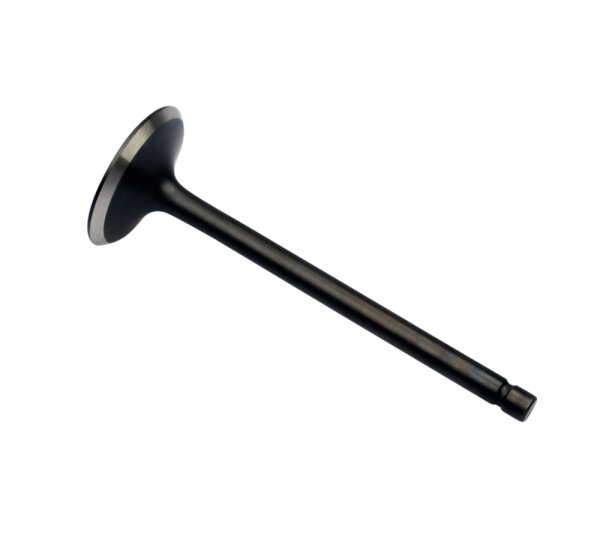 Soupape de sortie pour MZ/MUZ 660 Yamaha SZR XTZ YFM 660 3YF-12121-00