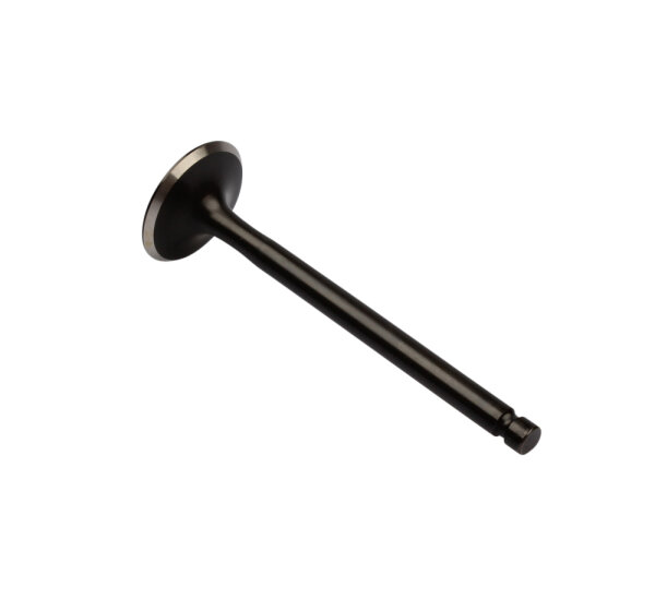 Válvula de escape para Yamaha XS 360 400 1L9-12121-02