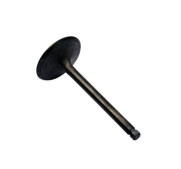 Intake Valve for Yamaha BT XVS XV 1100 SR XT 500 XV 1000 2J2-12111-00