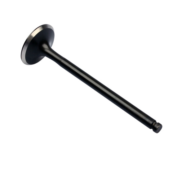 Válvula de escape para Honda GB XBR 500 XL XR 600 NX SLR 650 14721-MG3-000