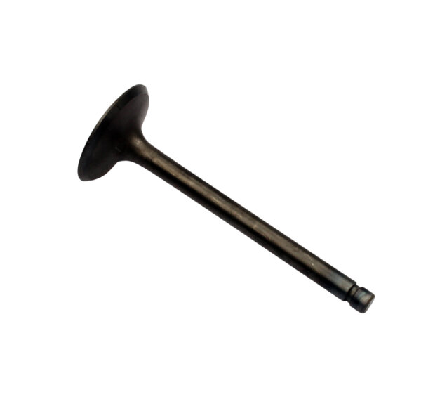 Intake Valve for Kawasaki GPZ GT Z ZR ZX 750 12004-1018