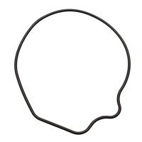 Original Dichtung Wasserpumpe für Honda NT NTV NV VT...