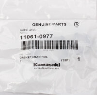 Original Dichtung Kerzenschacht für Kawasaki GTR ZZR 1400 # 06-20 # 11061-0977