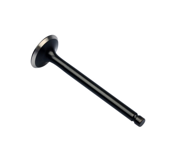 Exhaust Valve for Kawasaki Z 650 12005-008