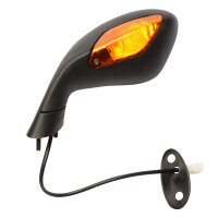 Spiegel Links für Aprilia RSV 1000 R Factory 2004-2010