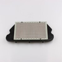 Filtre à air pour Honda CBR 1100 XX Super Blackbird 17210-MAT-000