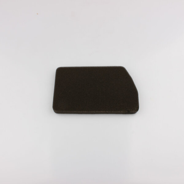 Luftfilter für Kawasaki ZL 600 Eliminator 1986-1997 11013-1139 JP