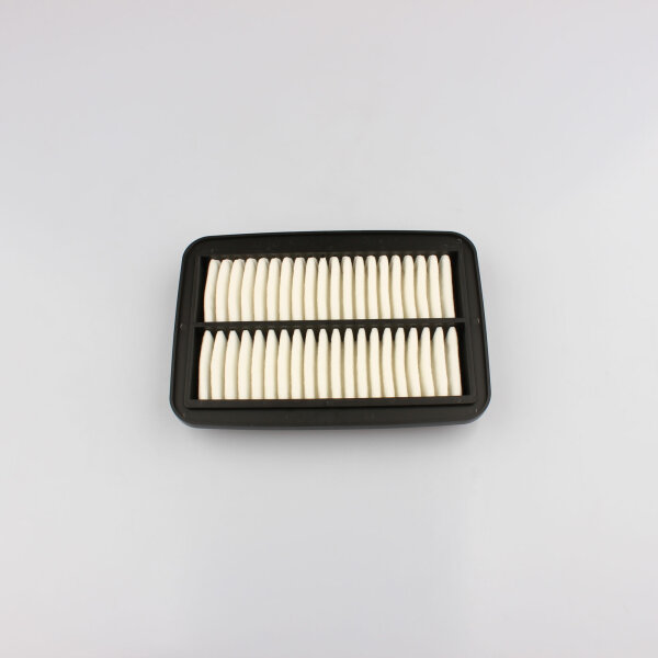 Luftfilter für Suzuki GSF 600 650 1200 Bandit 00-06 13780-31F00 JP