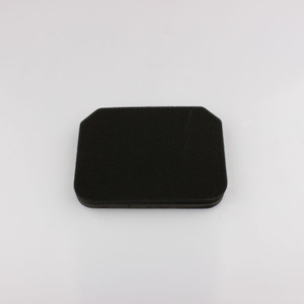 Luftfilter für Suzuki AN 250 400 Burgman 98-06 13780-14F00 13780-14F01 JP