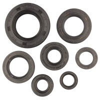 Set paraolio motore per Honda XL 600 LM RM 85-86