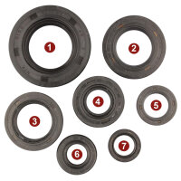 Set paraolio motore per Honda XL 600 LM RM 85-86