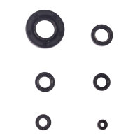 Motor Simmerring Dichtring Set für Honda MB MT MTX 80