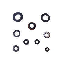 Engine oil seal set for Yamaha SR XT 250