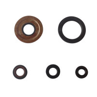 Motor Simmerring Dichtring Set für Yamaha XV 750 920