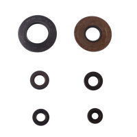 Set paraolio motore per Yamaha XV 1000 TR1 81-84