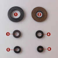 Set paraolio motore per Yamaha XV 1000 TR1 81-84