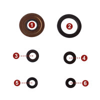 Motor Simmerring Dichtring Set für Yamaha XV 1000 SE...