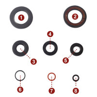 Set paraolio motore per Yamaha SZR 660 95-97