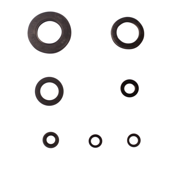 Engine oil seal set for Yamaha XJ 600 97-99