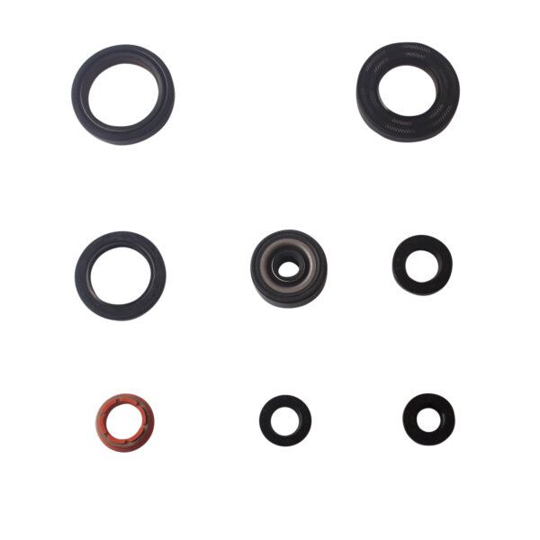 Set paraolio motore per Yamaha DT TDR TZR 125