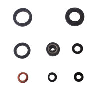 Set paraolio motore per Yamaha DT TDR TZR 125