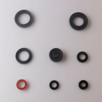 Set paraolio motore per Yamaha DT TDR TZR 125