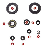 Motor Simmerring Dichtring Set für Yamaha RD 350...