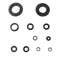 Set paraolio motore per Yamaha XT 500 76-85