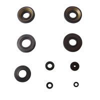 Engine oil seal set for Suzuki GT 250 73-75