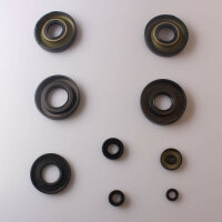 Engine oil seal set for Suzuki GT 250 73-75