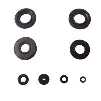 Set paraolio motore per Suzuki GT 250 76-78