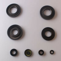 Engine oil seal set for Suzuki GT 250 76-78