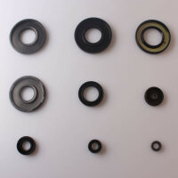 Engine oil seal set for Suzuki GT 500 76-77