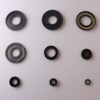 Motor Simmerring Dichtring Set für Suzuki GT 500 (T500) 76-79