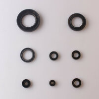 Set paraolio motore per Kawasaki Z 900 Z1 900 73-76 Z 1000 77-80