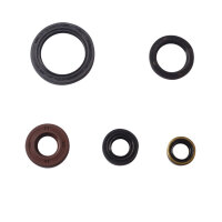 Motor Simmerring Dichtring Set für Kawasaki KLR 600...