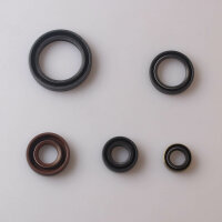 Set paraolio motore per Kawasaki KLR 600 84-89