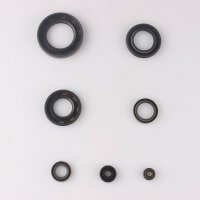 Set paraolio motore per Kawasaki KZ 650 C 1977 Z 650 B 77-80