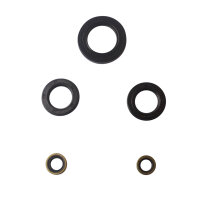Motor Simmerring Dichtring Set für Kawasaki GPZ Z ZR...